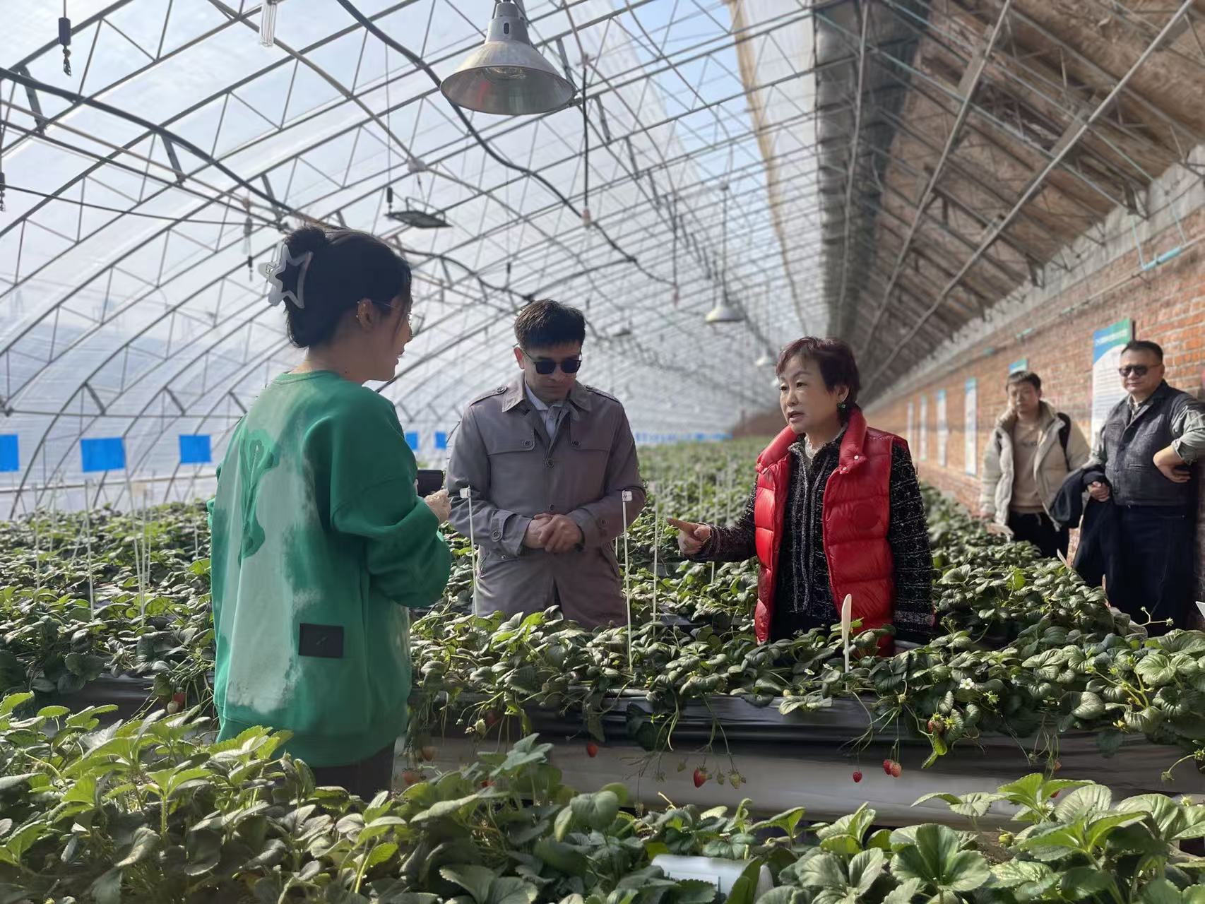 聚羧酸高性能减水剂（SPF-300）●&nbsp;保坍型